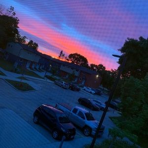 Meet your Posher, Ella